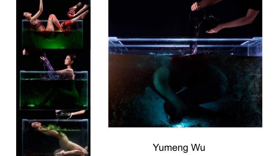 Yumeng Wu