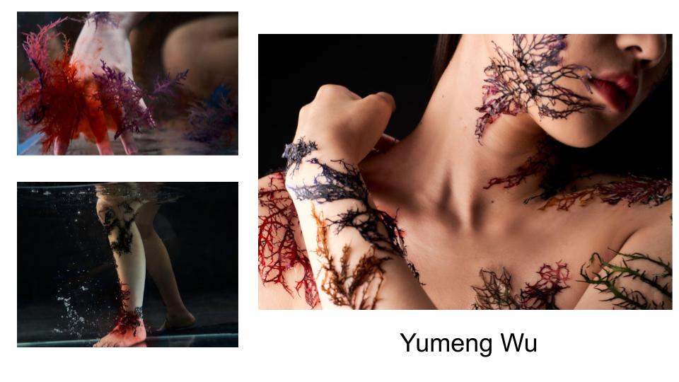 Yumeng Wu